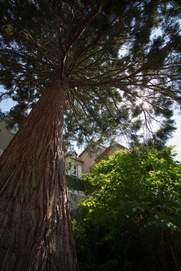 Le Fassardy Panzió Châteauroux Kültér fotó